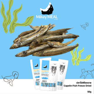 Mikey Meal ไมกี้ มีล ปลาไข่ฟรีซดราย Capelin Fish Freeze Dried