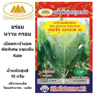 ภูเขาทอง เมล็ดคะน้า คัดพิเศษ แซมซัน คะน้ายอด เม็ดคะน้า เมล็ดพันธุ์พืช ขนาด 10 กรัม