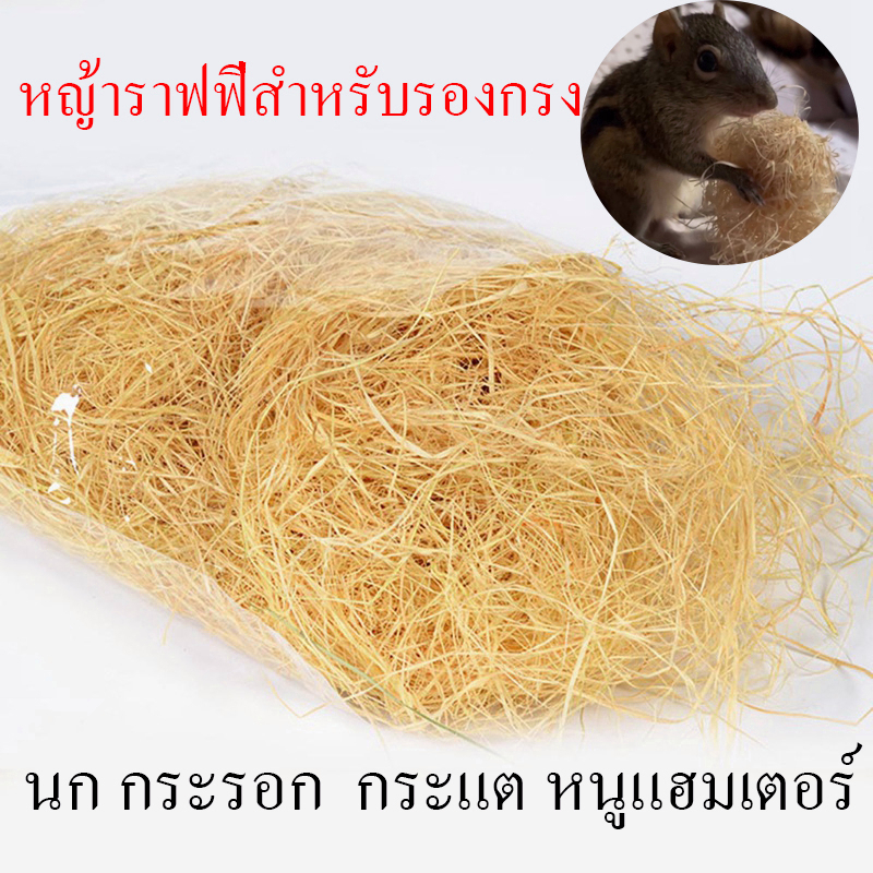 หญ้าราฟฟี่ รังนอนสำหรับสัตว์ นกทุกขนาด กระรอก กระแต หนูแฮมเตอร์สีธรรมชาติ กลิ่นหอมจากธรรมชาติ นำเข้า