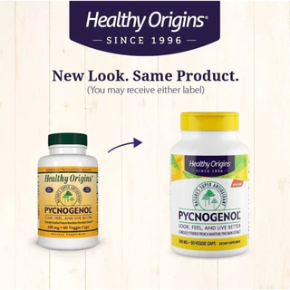 Healthy Origins Pycnogenol 100 mg (60 เม็ด) เปลือกสนฝรั่งเศส เปลือกสนมาริไทม์ 100mg