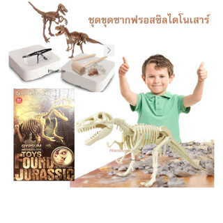 GYPSUM ARCHAEOLAGY TOY FOUND JURASSIC ใหม่! 3D Dinosaur Skeleton Excavation Kit จำลองการขุดโครงกระดูกไดโนเสาร์ ฟรอสซิลโค