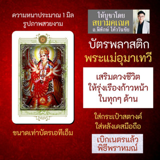 บัตรรูปองค์เทพ พระแม่อุมาเทวี พระแม่ปารวตี บัตรพลาสติกมหาเทพ การ์ดองค์เทพ PVC-PVP-102