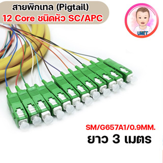 สายไฟเบอร์ออฟติกพิกเทล ( Fiber Optic Pigtail Sc/Apc) ชนิดหัว SC/APC จำนวน 12 เส้น ยาว 3เมตร