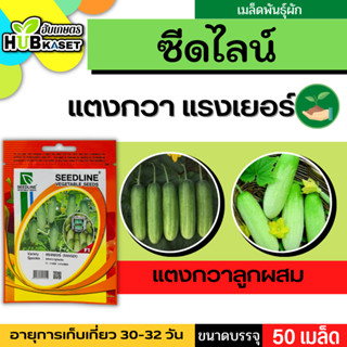 ซีดไลน์ 🇹🇭 แตงกวาลูกผสม แรงเยอร์ ขนาดบรรจุประมาณ 50 เมล็ด อายุเก็บเกี่ยว 30-32 วัน