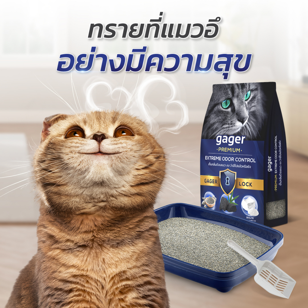 รูปภาพ 7