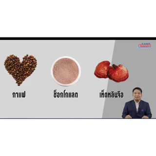กาแฟกาโน มอคคา GANO MOCHA COFFEE กาแฟมอคคากาโน กาโนมอคคา