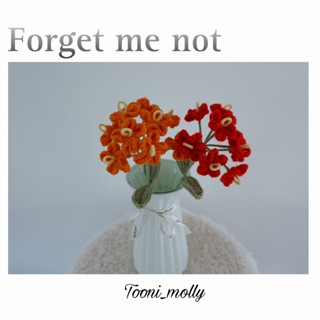 ฟอร์เก็ตมีน๊อต (forget me not)