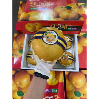 พร้อมส่ง‼️ (ราคาต่อ1ลูก) สาลี่หิมะสด สายพันธุ์เกาหลี หวานฉ่ำชื่นใจ