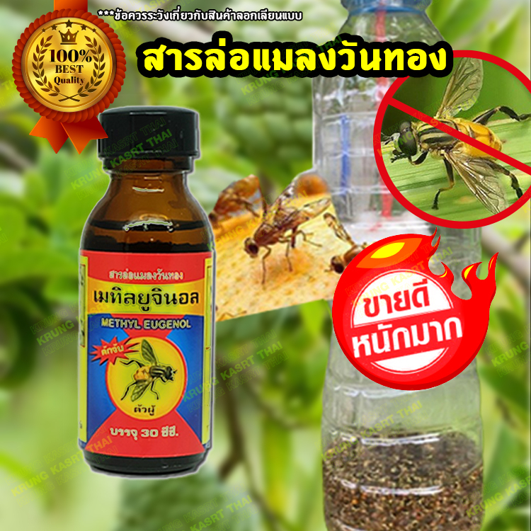 สารล่อแมลง เมทิลยูจินอล (METHYL EUGENOL)ดักจับแมลงวันทอง ขนาด 30ซีซี