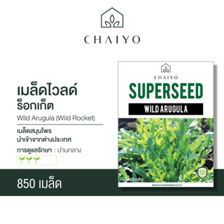 เมล็ด WILD ARUGULA (Wild Rocket) ไวลด์ ร็อกเก็ต