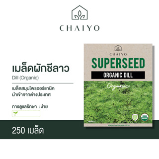 เมล็ด DILL (Organic) ผักชีลาว