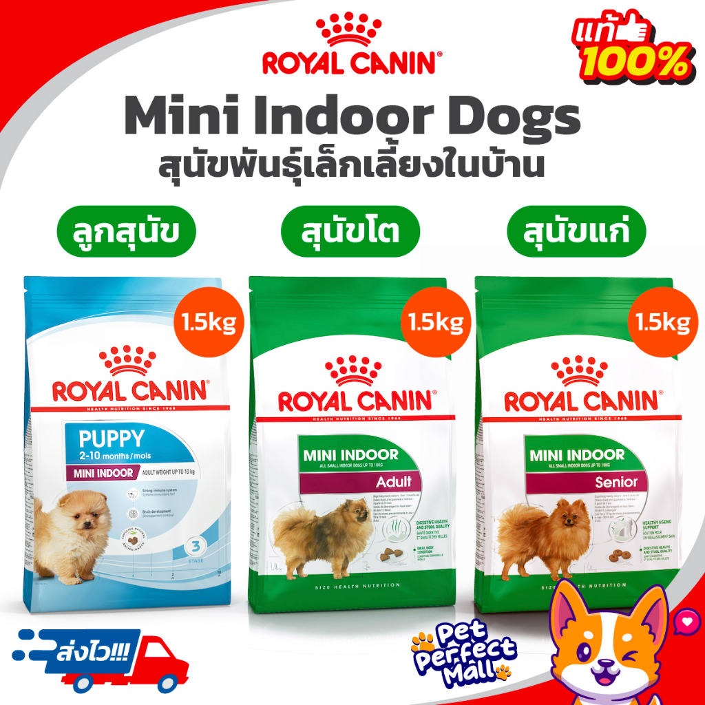 Royal Canin Mini Indoor Puppy / Adult / Senior 1.5kg โรยัลคานิน ลูกสุนัข สุนัขโต สุนัขแก่ พันธุ์เล็กเลี้ยงในบ้าน 1.5 กิโ