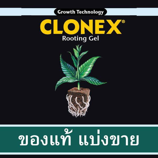 Clonex Rooting Gel เจลเร่งราก นำเข้าจาก USA น้ำยาเร่งราก เจลเพิ่มราก ระเบิดราก HydroDynamics Clonex 