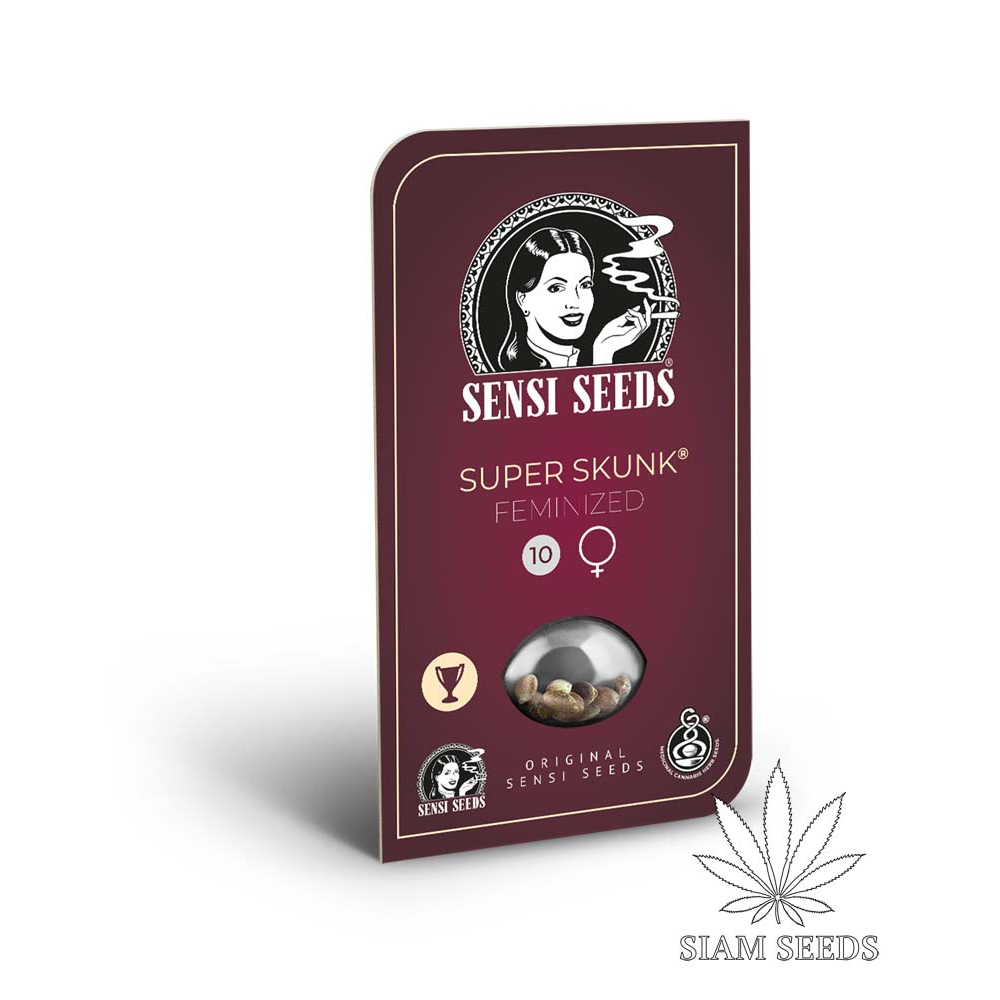 เมล็ดกัญชา Sensi Seeds Super Skunk Fem Cannabis Seeds (Pack of 3)