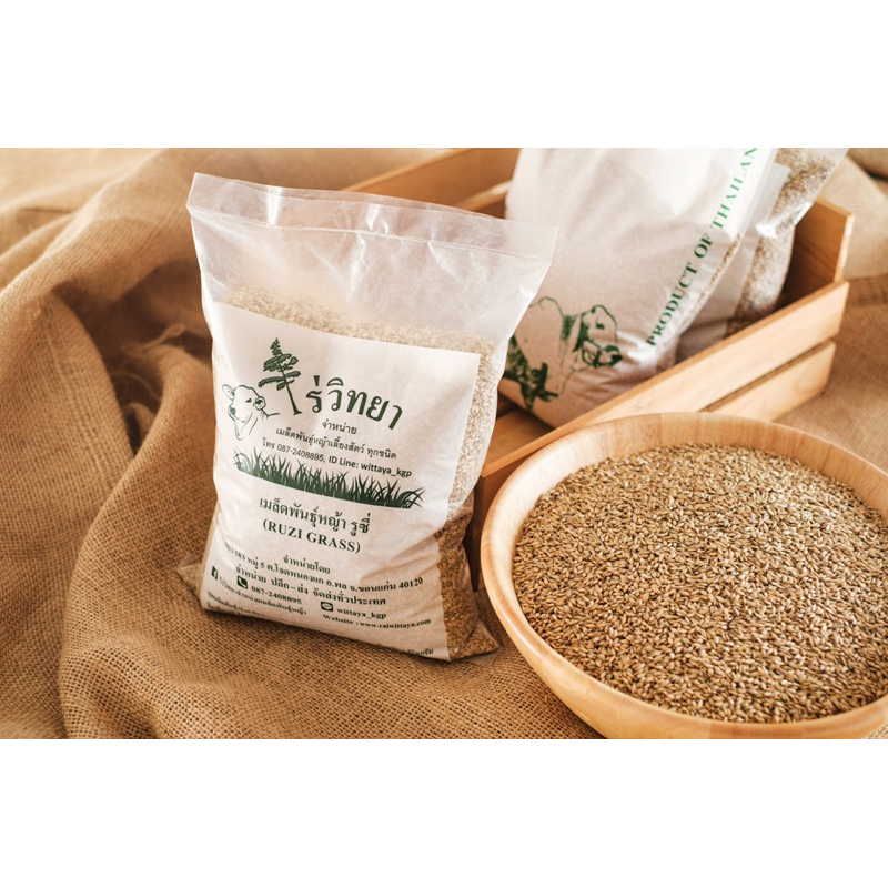 เมล็ดพันธุ์หญ้ารูซี่ 1 kg เกรดส่งออก Ruzi Grass จาก ไร่วิทยา อาหารสัตว์ใหญ่ หญ้าเลี้ยงวัวควายแพะแกะไ