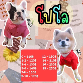 🐶🧳 เสื้อโปโล น้องหมาน้องแมว 👕 ❣️