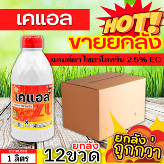 🌾 💥💥 สินค้ายกลัง 💥💥 เคแอล (แลมป์ดา-ไซฮาโลทริน) ขนาด 1ลิตรx12ขวด ป้องกันหนอน เพลี้ยและแมลงตัวบิน