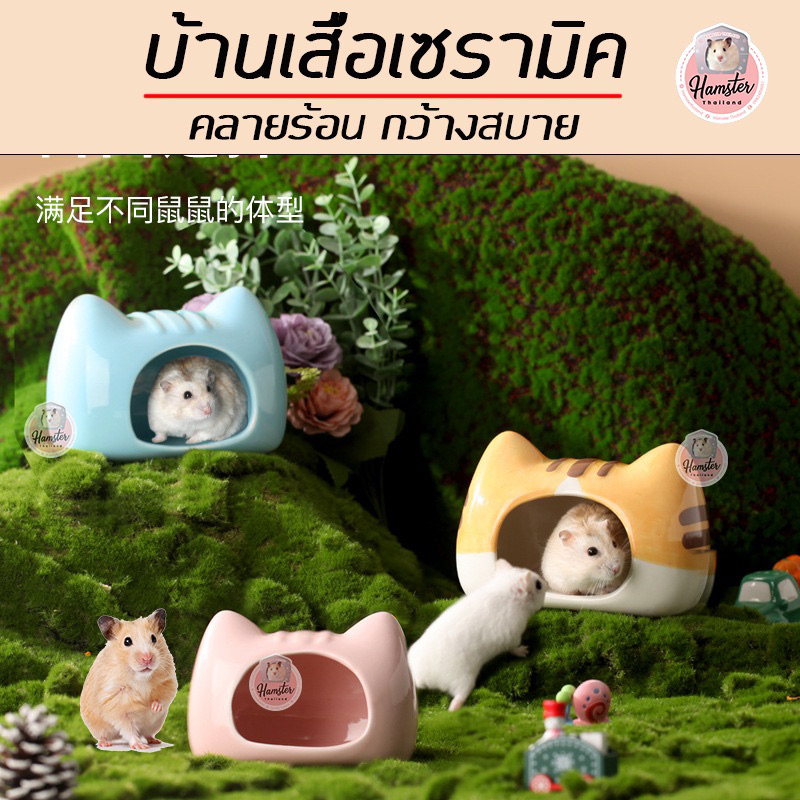 [Hamsterth] บ้าน ห้องน้ำ โถผึ้ง บ้านเซรามิค เนื้อเย็นคลายร้อน บ้านหนูแฮมสเตอร์ บ้านแฮมสเตอร์ บ้านหลบ