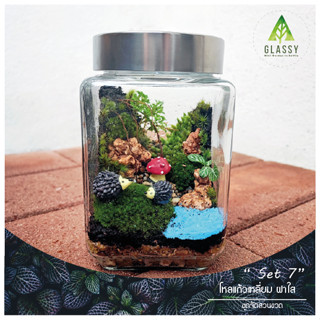 ชุดจัดสวนขวดแก้ว ทรงเหลี่ยมฝาใส ตั้งได้2แบบ Terrarium Set 7. ครบเซ็ต ชุดจัดสวนขวด พร้อมส่ง