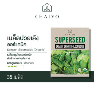 เมล็ด SPINACH-Bloomsdale (Organic) ปวยเล้ง  ออร์แกนิค