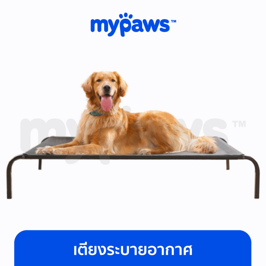 [ MYP18NV]My Paws เตียงระบายอากาศ สำหรับสุนัข เตียงสุนัข M,L,XL ที่นอนสุนัข แบบยกสูง ผ้าตาข่ายเสริม