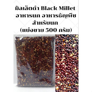 มิลเล็ตดำ Black Millet อาหารนก อาหารธัญพืช สำหรับนก (แบ่งขาย 500กรัม) NO.B035