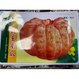 เมล็ดพันธุ์ ฟักทอง หน้ายิ้ม ผิวส้ม ( Pumpkin smiley face orange peel Seed ) บรรจุ 10 กรัม ประมาณ 50 เมล็ด