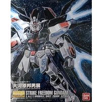 Mg 1/100 Strike Freedom Gundam Okawara Kunio Ver