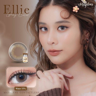 Ellie gray พร้อมส่งสายตาปกติและค่าสายตา (Mayalens)