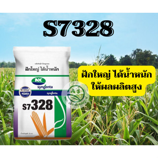 เมล็ดพันธุ์ข้าวโพด เมล็ดพันธ์ุเลี้ยงสัตว์ S7 328 ขนาด 2.5 หุน เบอร์3  10 kg