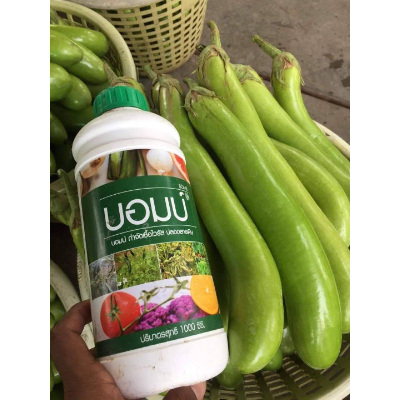 บอมบ์กำจัดเชื้อไวรัสเพลี้ยไฟไรแดง ขนาด 1000 ซีซี - รูปที่ 5