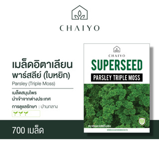 เมล็ด Parsley (Triple Moss) อิตาเลี่ยนพาร์สลีย์(ใบหยิก)