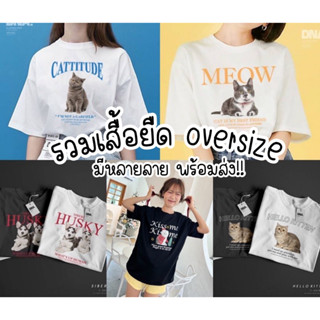 รวมเสื้อยืดโอเวอร์ไซส์ลายหมาแมว Oversize พร้อมส่ง