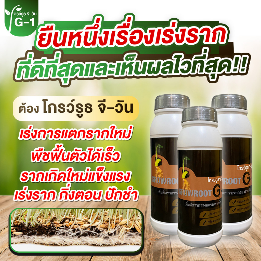 โปร 3 ขวด ยาเร่งราก โกรว์รูธ จี-วัน G1 เร่งราก เร่งใบ น้ำยาเร่งราก กระตุ้นการแตกใบอ่อน บำรุงราก