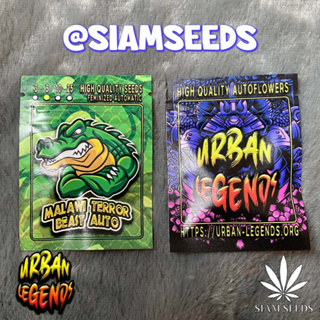 เมล็ดกัญชา Urban Legends Malawi Terror Beast Auto Cannabis Seeds (Pack of 5)