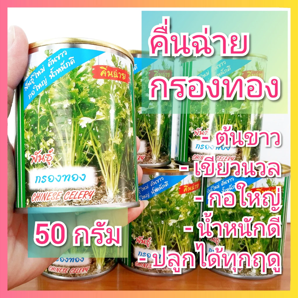 เมล็ดพันธุ์คื่นฉ่าย ตราปลาทอง 50กรัม เมล็ดพันธุ์ผัก คื่นฉ่าย คื่นช่าย ขึ้นฉ่าย ขึ้นช่าย