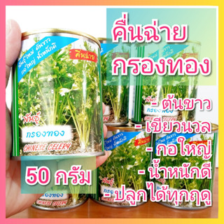 เมล็ดพันธุ์คื่นฉ่าย ตราปลาทอง 50กรัม เมล็ดพันธุ์ผัก คื่นฉ่าย…