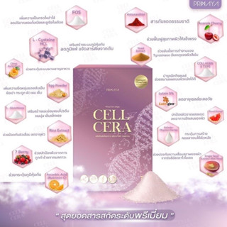 ถูกสุด⚡Cellcera Collagen ของแท้ คอลลาเจน 5 ชนิด (1กล่อง14ซอง) นวัตกรรมลดอายุผิว ช่วยบำรุงผิวขาวใส ต้านริ้วรอย จากพรีมายา