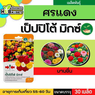 ศรแดง 🇹🇭 บานชื่น เป็ปปิโต้ มิกซ์ ขนาดบรรจุประมาณ 30 เมล็ด อายุเก็บเกี่ยว 55-60 วัน