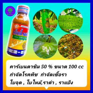 คาร์เบนดาซิม 50% SC ยากำจัดเชื้อรา ยากันเชื้อรา เชื้อราบนใบ ขนาด 100 cc โรคพืช เช่น โรคใบติด โรคใบไหม้,โรคกาบใบแห้งใบจุด