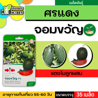 ศรแดง 🇹🇭 แตงโมลูกผสม จอมขวัญ F1 ขนาดบรรจุประมาณ 35 เมล็ด อายุเก็บเกี่ยว 55-60 วัน