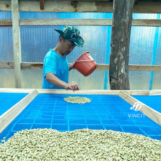 Omnia Roast เมล็ดกาแฟคั่วอ่อนค่อนกลาง Light to Medium Roast/ Series Coffee Diskette/ 250g, 500g.