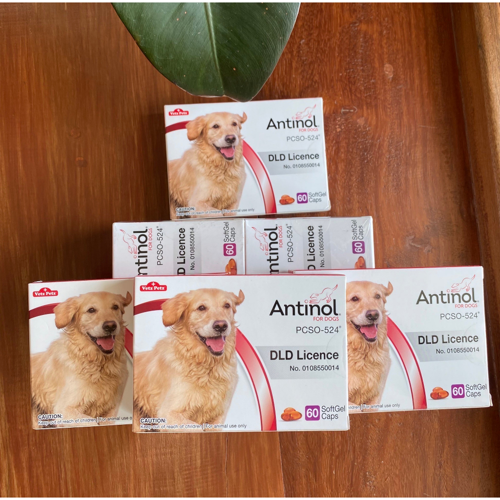 Antinol อาหารเสริมไขมันสำหรับสุนัขและแมว
