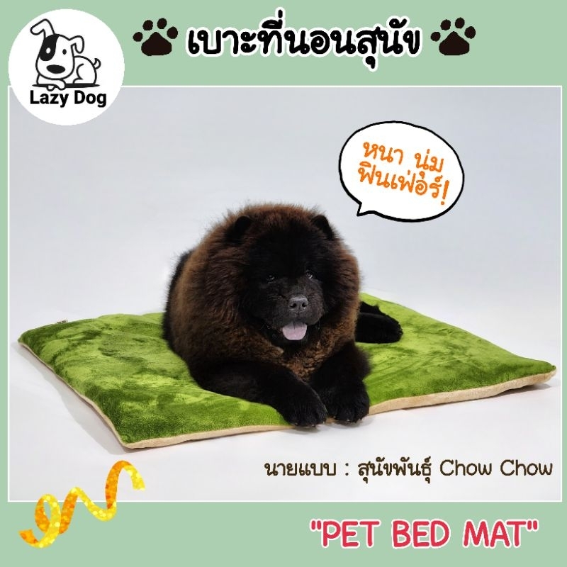 Lazy Dog เบาะที่นอนสุนัข ที่นอนหมา เบาะนอนขนนุ่มทั้ง2ด้าน ที่นอนสัตว์เลี้ยง