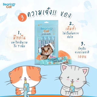 [16+4ซอง]BEARING Cat Liquid Snack ขนมแมวเลีย มนต์เรียกแมว อาหารแมว เค็มต่ำ เหมาะสำหรับแมวทานยาก 15g