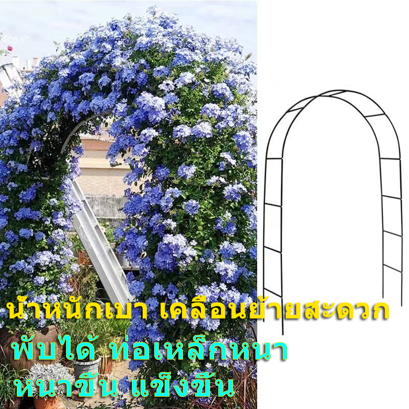 ซุ้มไม้เลื้อย เหล็ก ซุ้มกุหลาบเลื้อย ท่อเหล็กหนา ไม้เลื้อย ซุ้มเหล็กโค้ง โครงไม้เลื้อย ซุ้มไม้เลื้อย ซุ้มกุหลาบ