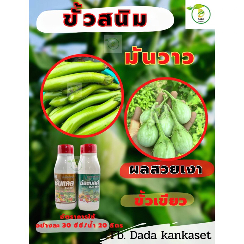 ของแท้100% ชุดขัดสนิม กำจัดสนิม มะเขือ ขั้วเขียว ลูกขาวใส ล้างกลากเกลื้อนได้ดี
