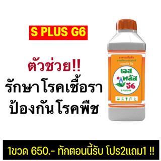 เอสพลัสจี6 สูตรน็อคเชื้อราป้องกันโรคพืช ป้องกันแมลง