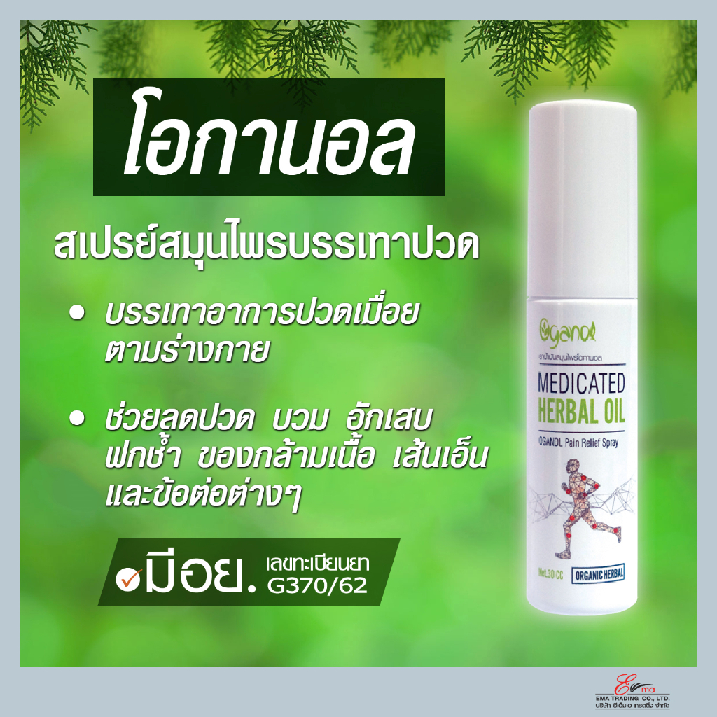 Oganol-โอกานอล สเปรย์บรรเทาปวด  “ใช้ง่าย ปลอดภัย ไม่ต้องนวด”