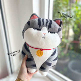 𝐄𝐦𝐩𝐞𝐫𝐨𝐫 𝐂𝐀𝐓🏮🧧✨ | ตุ๊กตาแมวฮ่องเต้หน้าเหวี่ยง 30 cm